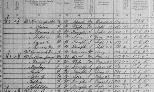 Part of a page from a census enumeration