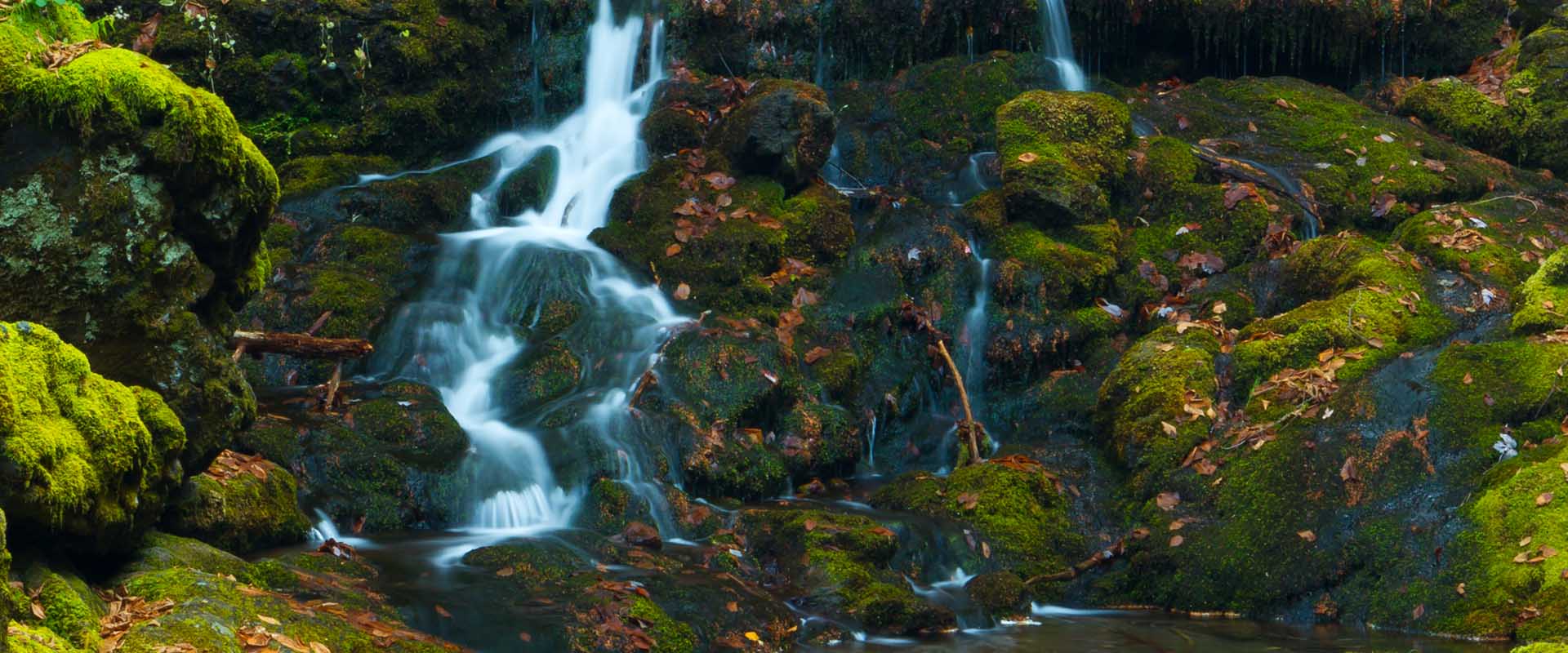 An image of a small waterfall flowing over moss-covered rocks, taken near Dickson Falls, Fundy National Park, Alma, New Brunswick.